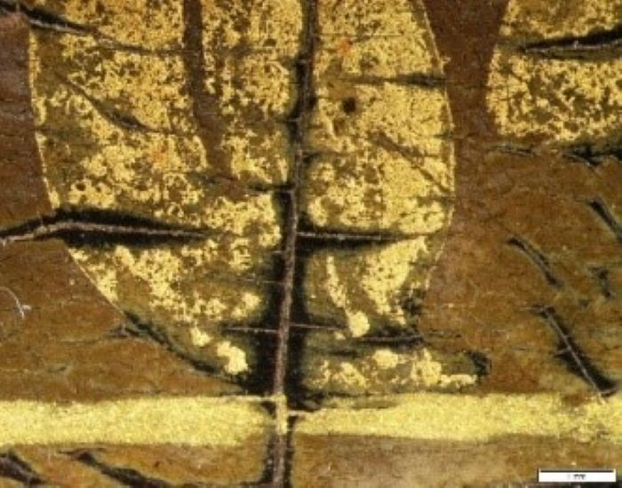 Poster - Examination of lacquer layers on a 16th-century missal stand